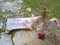 Tõnn - Sinu Õnnenukk. Paide Vallimäel sept 2010 linna sünnipäeval.