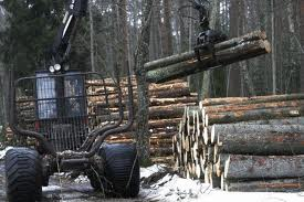 Metsa majandamise vältimatuks osaks on raiumine.