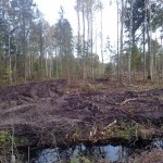 Raielank, kust raiutud puude väljavedamine on ära rikkunud mitme kinnistu tee