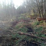 Heaperemehelikkuse näide, kui maapind ei kanna, tee oksapadi alla.