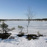 Pakane on kaanetanud rabajärve