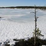 Ilus rabajärv