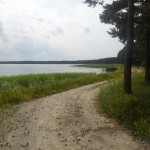 Ülemiste järv ja mets