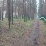 Üks terviserada ei ole ühendatud teisega