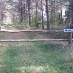 Lihtne ja lakooniline märk