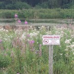 Eraomaniku poolt antud täpsem juhis on samuti täitmiseks. Rae vald