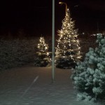 Koduaia jõulukuused 22.detsembri 2014 hommikul