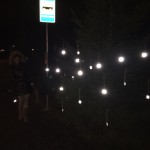 Peetri kooli bussipeatuses asuv helkuripuu